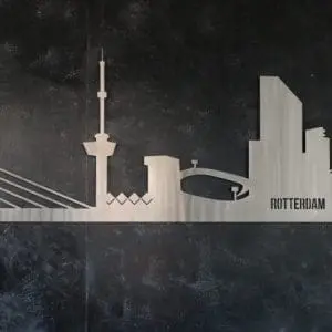 Skyline Rotterdam 1.0 RVS