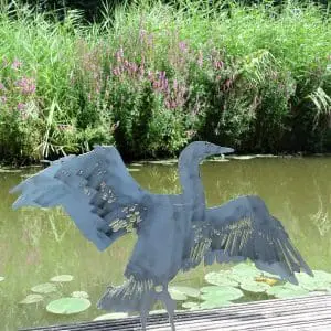 Aalscholver Cortenstaal