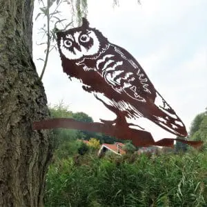 Uil Cortenstaal