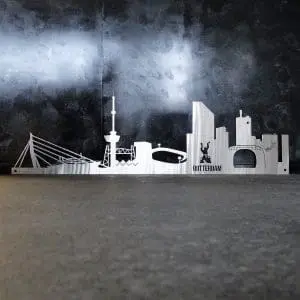 Skyline Rotterdam 2.0 RVS