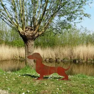 Teckel Cortenstaal