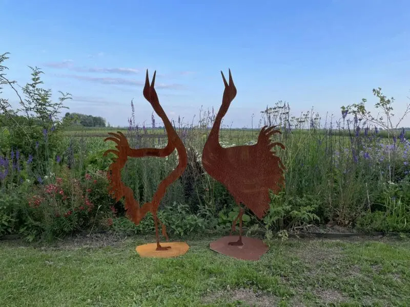 Baltsende Kraanvogels van Cortenstaal