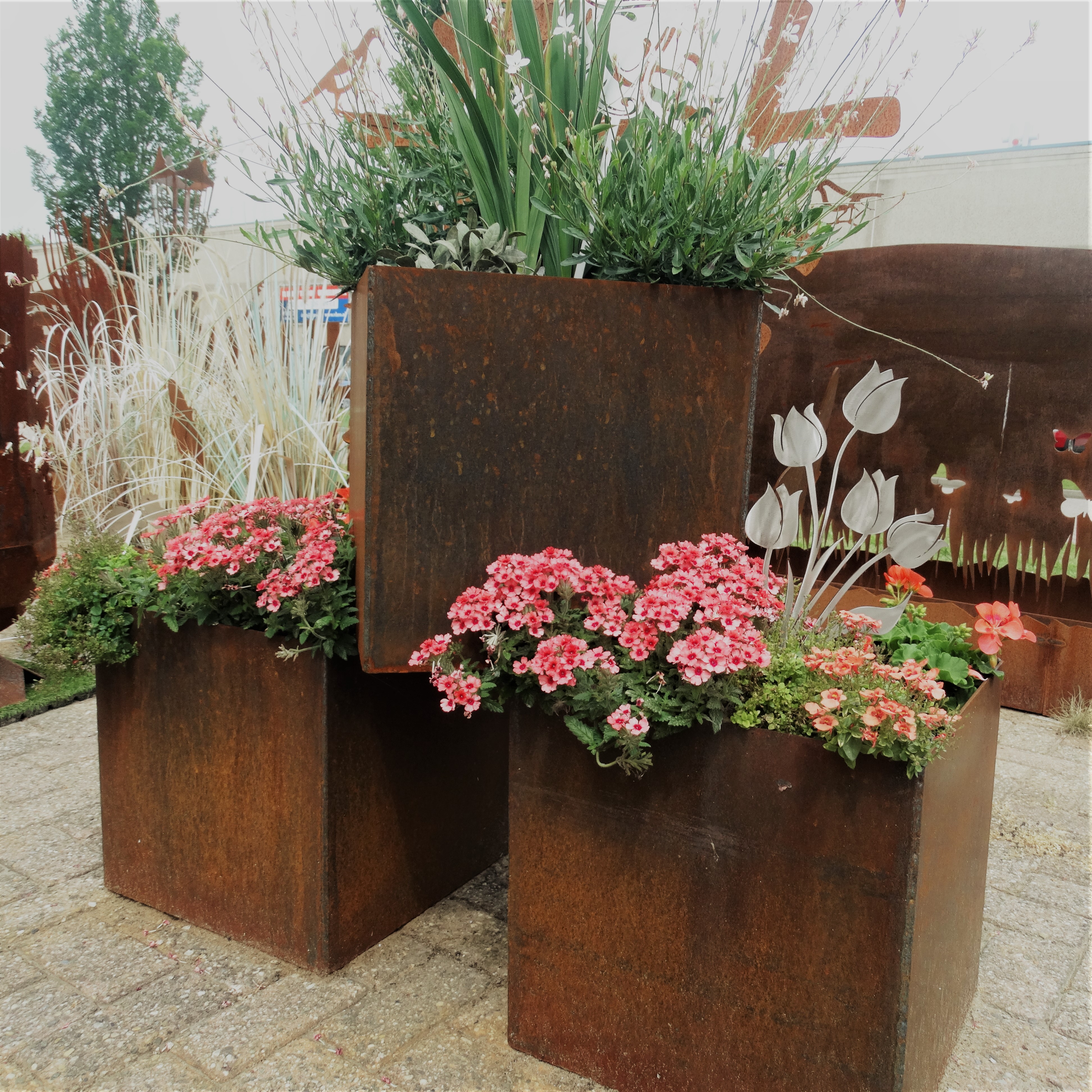 Plantenbakken met plant Plantenbakken met plant