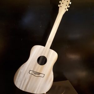 Gitaar RVS