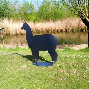 Alpaca Cortenstaal206.