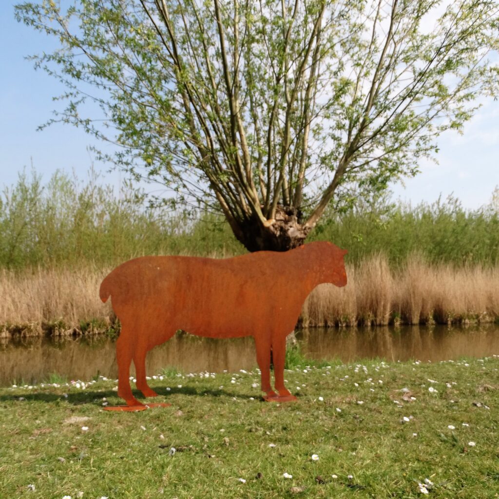 Schaap Cortenstaal