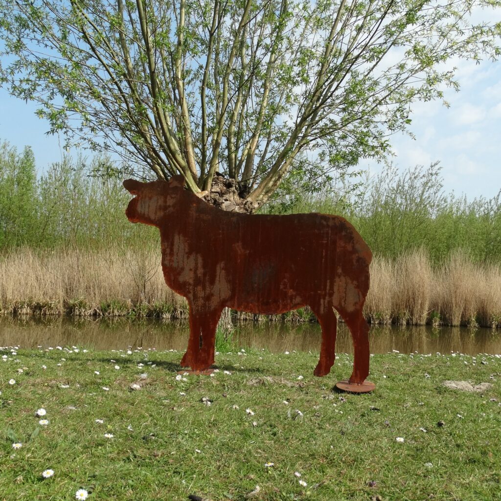 Texelaar Schaap Cortenstaal