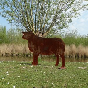 Texelaar Schaap Cortenstaal
