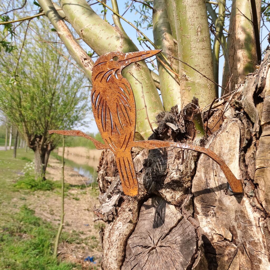 IJsvogel Cortenstaal - Afbeelding 2