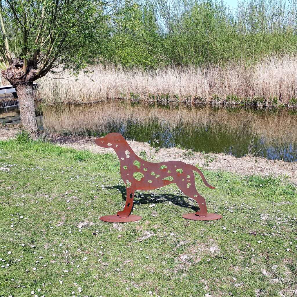 Dalmatiër Cortenstaal - Afbeelding 2