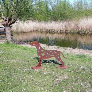 Dalmatiër Cortenstaal - Afbeelding 2