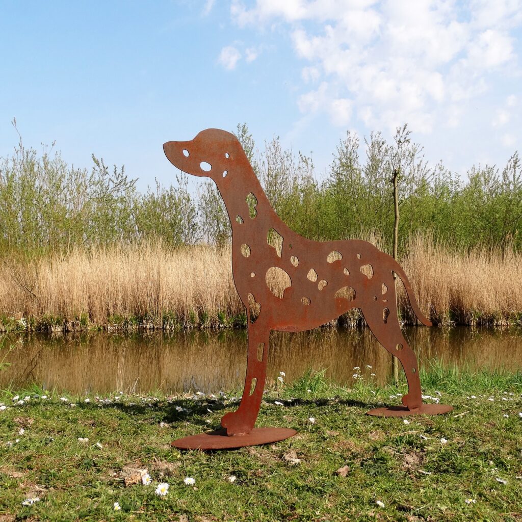 Dalmatiër Cortenstaal