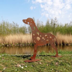 Dalmatiër Cortenstaal