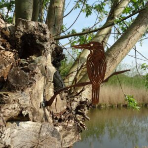 IJsvogel Cortenstaal