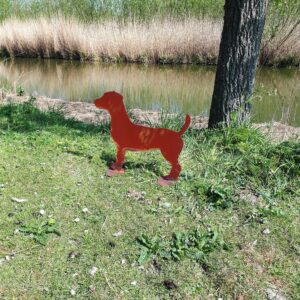 Jack Russel Cortenstaal