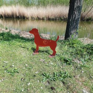Jack Russel Cortenstaal