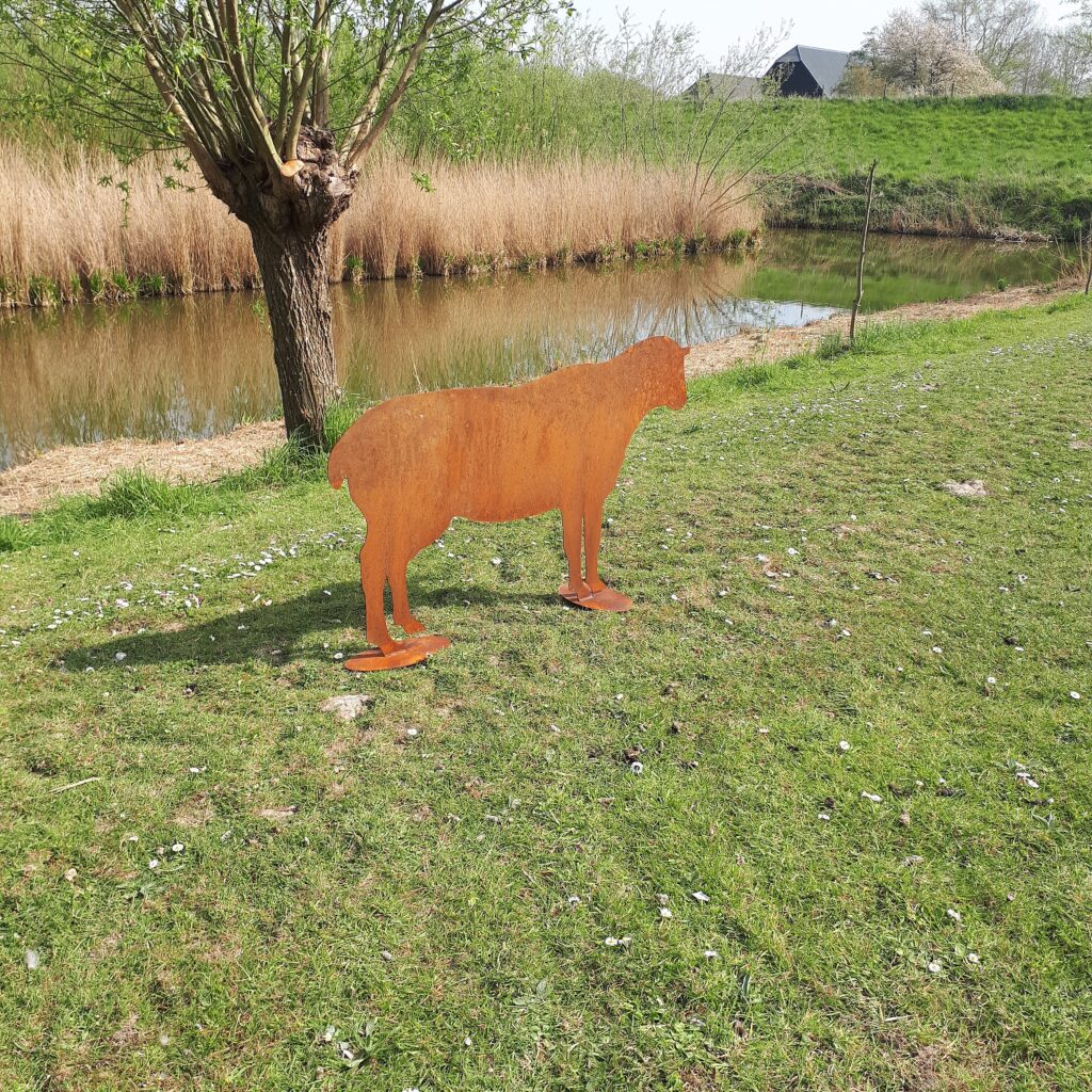 Schaap Cortenstaal - Afbeelding 2