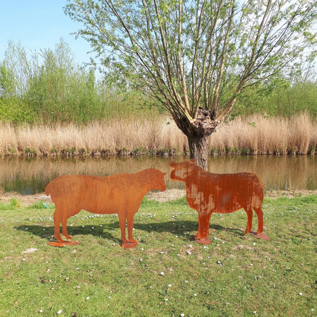 Texelaar Schaap Cortenstaal - Afbeelding 2