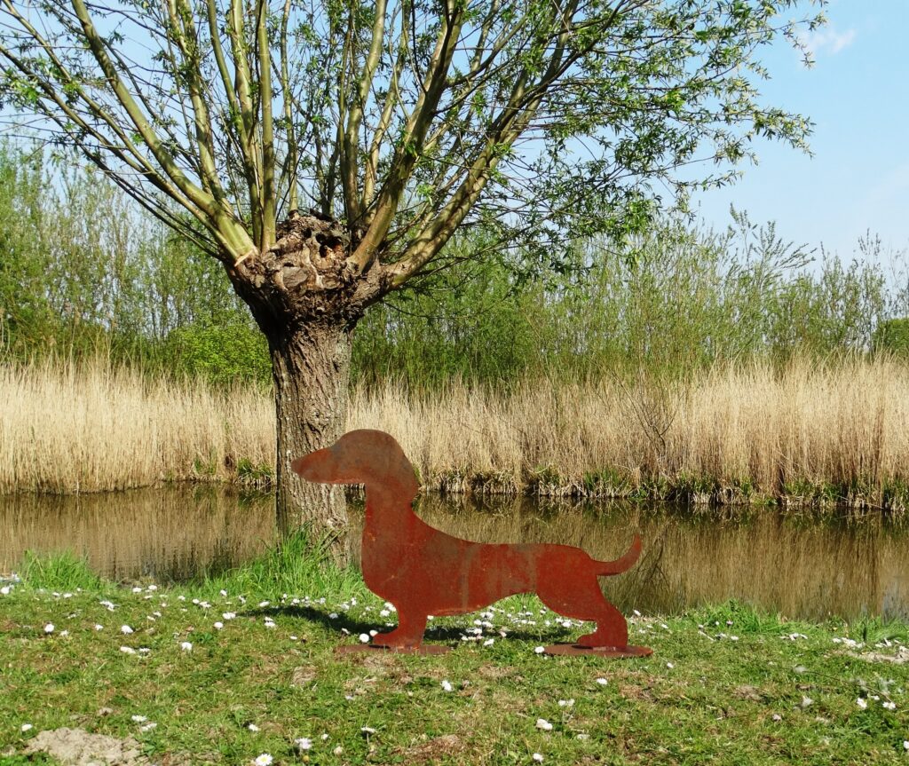 Teckel Cortenstaal