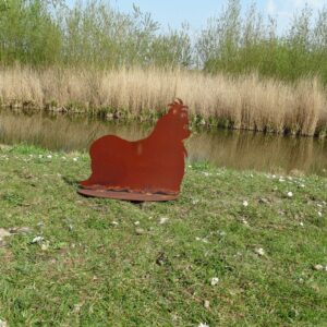 Shih Tzu Cortenstaal