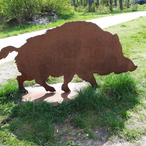 Zwijn Cortenstaal groot