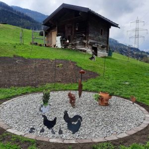 Familie Kip - Afbeelding 2