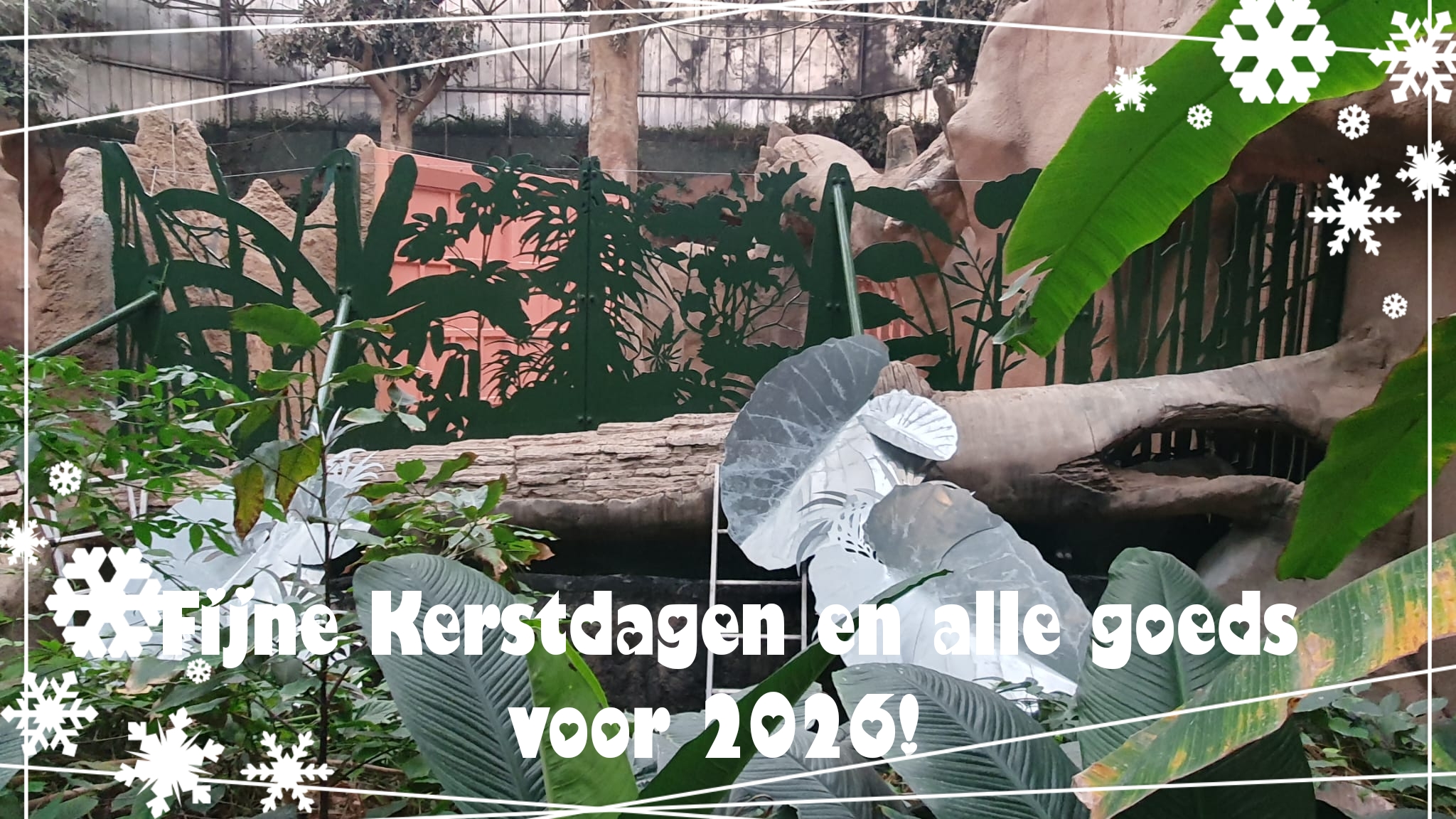 Fijne dagen 2025-2026